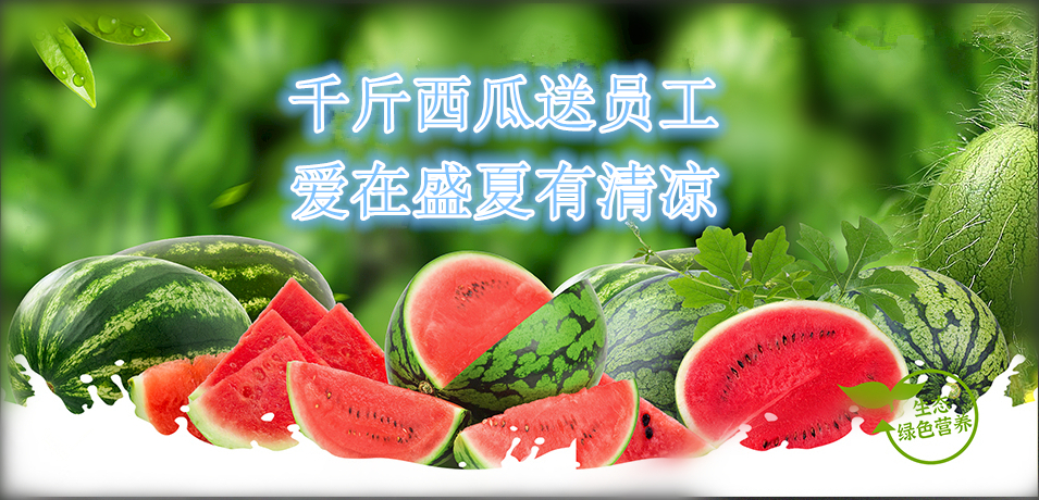 通達(dá)軟件公司： 千斤西瓜送員工，愛在盛夏有清涼